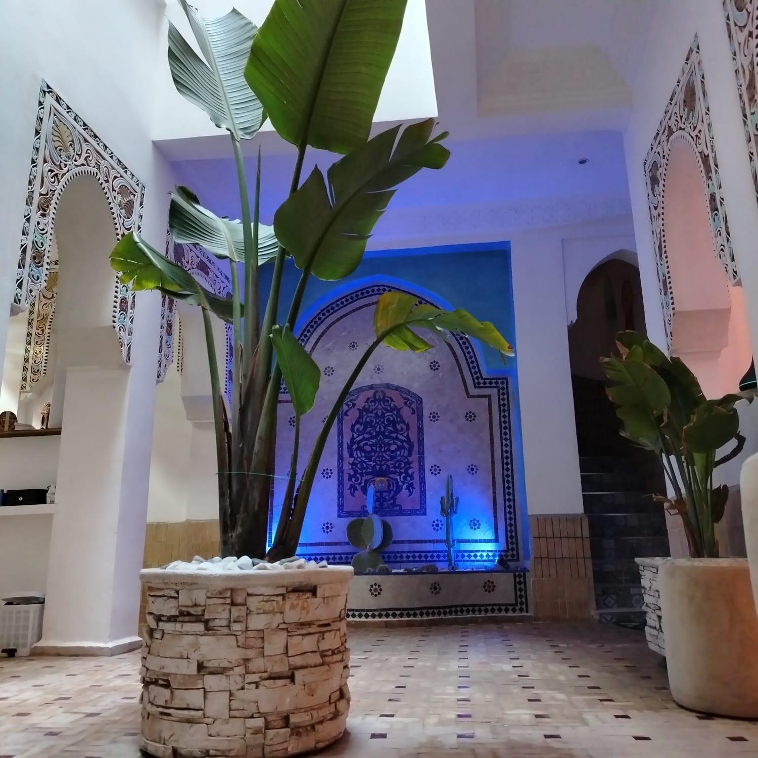 Riad & Spa Sous Le Soleil Chez Jerome Et Pamela Ch Marrakchi Marrakesh Eksteriør billede