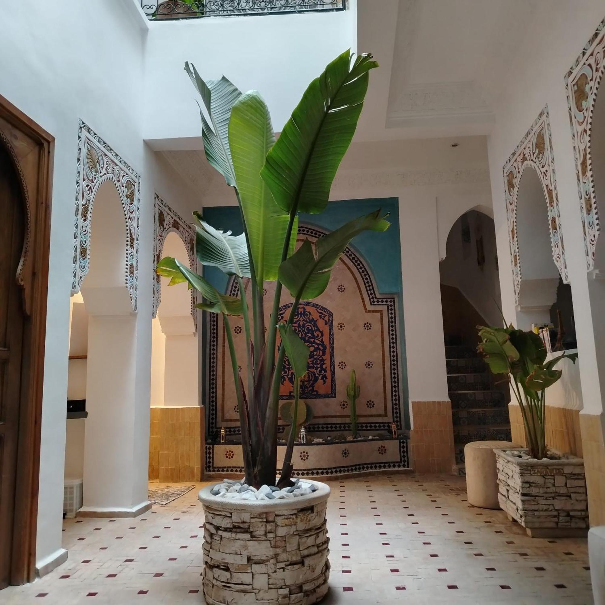 Riad & Spa Sous Le Soleil Chez Jerome Et Pamela Ch Marrakchi Marrakesh Eksteriør billede